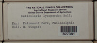Image Associated With the Occurence